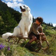 Belle et Sébastien, l'aventure continue - galeria zdjęć - filmweb