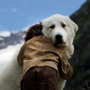Belle et Sébastien, l'aventure continue - galeria zdjęć - filmweb
