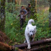 Bella i Sebastian 2 - galeria zdjęć - filmweb