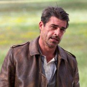 Belle et Sébastien, l'aventure continue - galeria zdjęć - filmweb