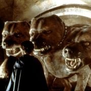 Harry Potter i Kamień Filozoficzny - galeria zdjęć - filmweb