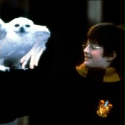 Harry Potter and the Sorcerer's Stone - galeria zdjęć - filmweb