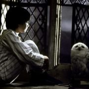 Harry Potter and the Sorcerer's Stone - galeria zdjęć - filmweb