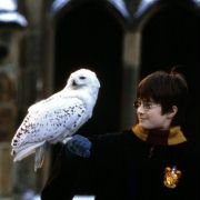 Harry Potter and the Sorcerer's Stone - galeria zdjęć - filmweb
