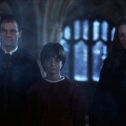 Geraldine Somerville w Harry Potter i Kamień Filozoficzny