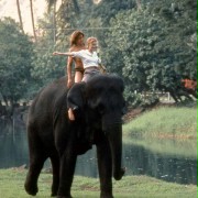George of the Jungle - galeria zdjęć - filmweb