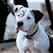 The Little Rascals - galeria zdjęć - filmweb