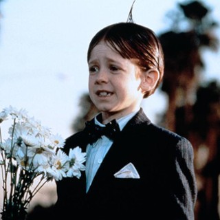 Alfalfa