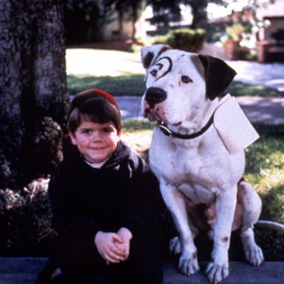 Spanky