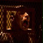 Bronson - galeria zdjęć