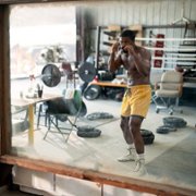 Creed III - galeria zdjęć - filmweb