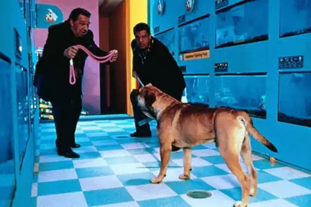 Agencie, podaj łapę - galeria zdjęć - filmweb