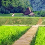 Yasuke - galeria zdjęć - filmweb