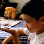 Yi Yi - galeria zdjęć - filmweb