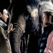 Larger Than Life - galeria zdjęć - filmweb