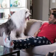 Czarno to widzę - galeria zdjęć - filmweb