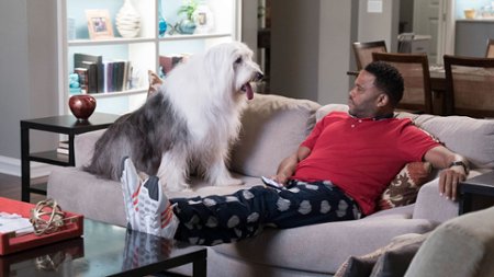 Sezon 4 Odcinek 19 Pieski świat