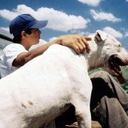 La Libertad - galeria zdjęć - filmweb
