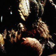 The Relic - galeria zdjęć - filmweb