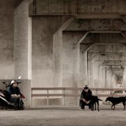 Miss Kicki - galeria zdjęć - filmweb