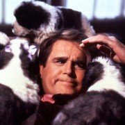 Beethoven 2 - galeria zdjęć - filmweb