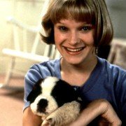 Beethoven 2 - galeria zdjęć - filmweb