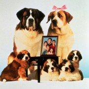 Beethoven's 2nd - galeria zdjęć - filmweb