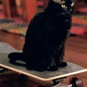 Sabrina, the Teenage Witch - galeria zdjęć - filmweb