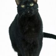 Sabrina, the Teenage Witch - galeria zdjęć - filmweb