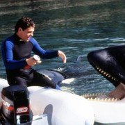 Uwolnić orkę 3 - galeria zdjęć - filmweb