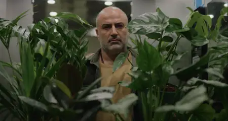 Kami nour - galeria zdjęć - filmweb