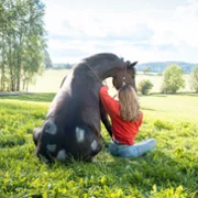 Ponyherz - Wild und frei - galeria zdjęć - filmweb