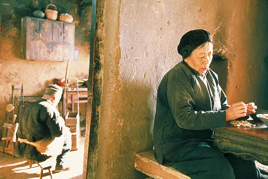 Droga do domu - galeria zdjęć - filmweb