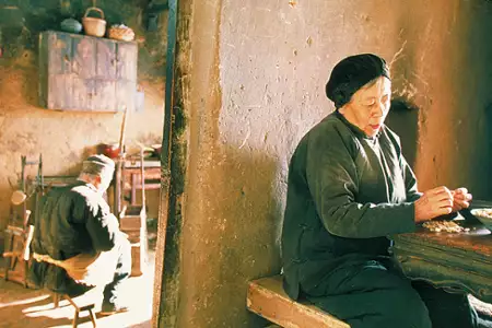 Droga do domu - galeria zdjęć - filmweb