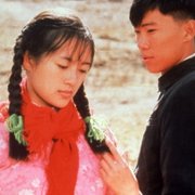 Droga do domu - galeria zdjęć - filmweb