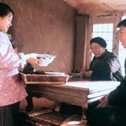 Droga do domu - galeria zdjęć - filmweb