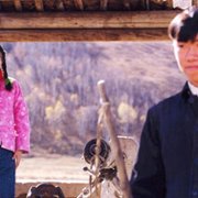 Droga do domu - galeria zdjęć - filmweb