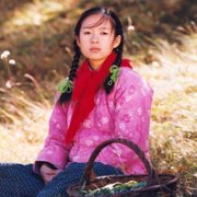 Droga do domu - galeria zdjęć - filmweb