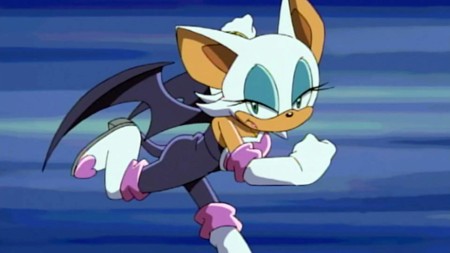 The Beautiful and Mysterious Thief Rouge