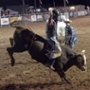 Kobiece rodeo - galeria zdjęć