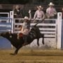 Kobiece rodeo - galeria zdjęć