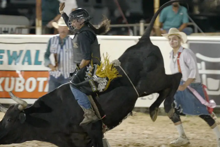 Kobiece rodeo - galeria zdjęć - filmweb