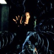 The Matrix - galeria zdjęć - filmweb