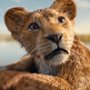 Mufasa: Król Lew - galeria zdjęć