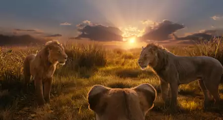 Mufasa: Król Lew - galeria zdjęć - filmweb