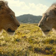 Mufasa: Król Lew - galeria zdjęć - filmweb