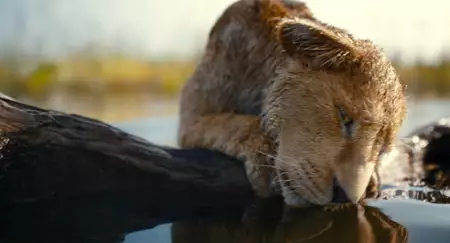 Mufasa: Kr&oacute;l Lew - galeria zdjęć - filmweb
