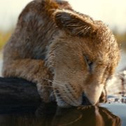 Aaron Pierre w Mufasa: Kr&oacute;l Lew