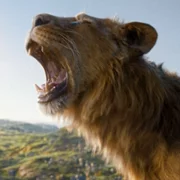 Mufasa: The Lion King - galeria zdjęć - filmweb