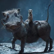 Mufasa: Król Lew - galeria zdjęć - filmweb